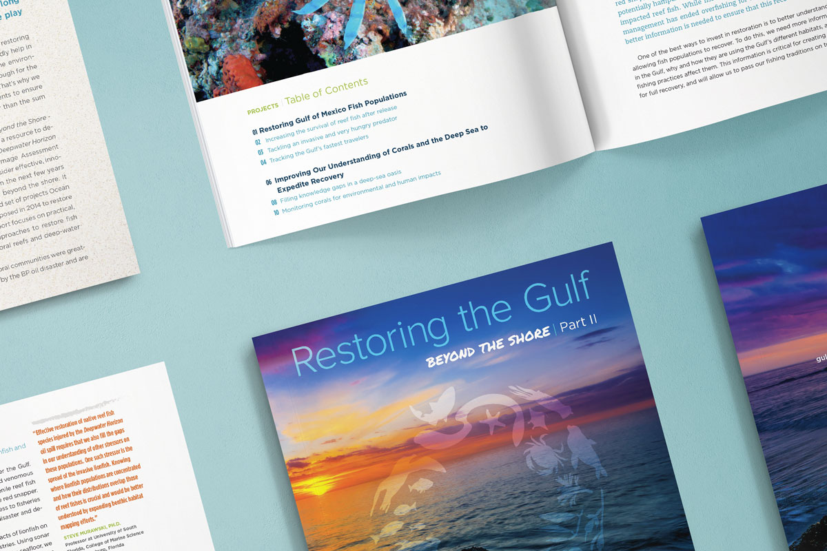 Ocean Conservancy Restore the Gulf booklet